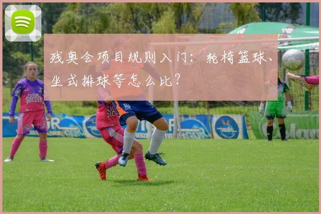 残奥会项目规则入门：轮椅篮球、坐式排球等怎么比？